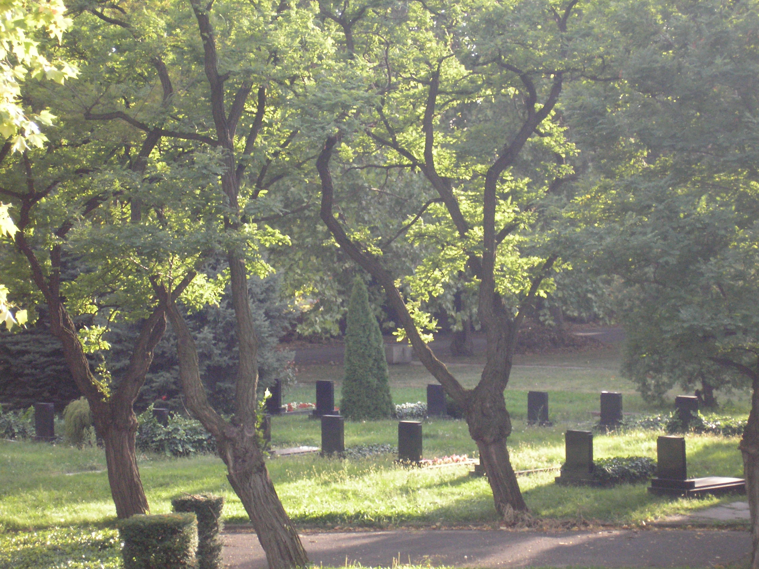 cemetery-stock7.