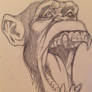 Monkey sketch
