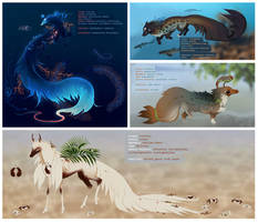 TWWM GA - nature's patterns: ashore and in depths