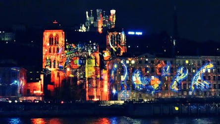 Fete des lumieres (Lyon 2012)