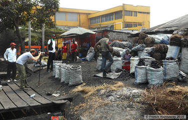 Film-maker in Kinshasa 15