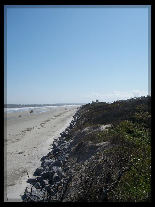 Jekyll Island Shoreline