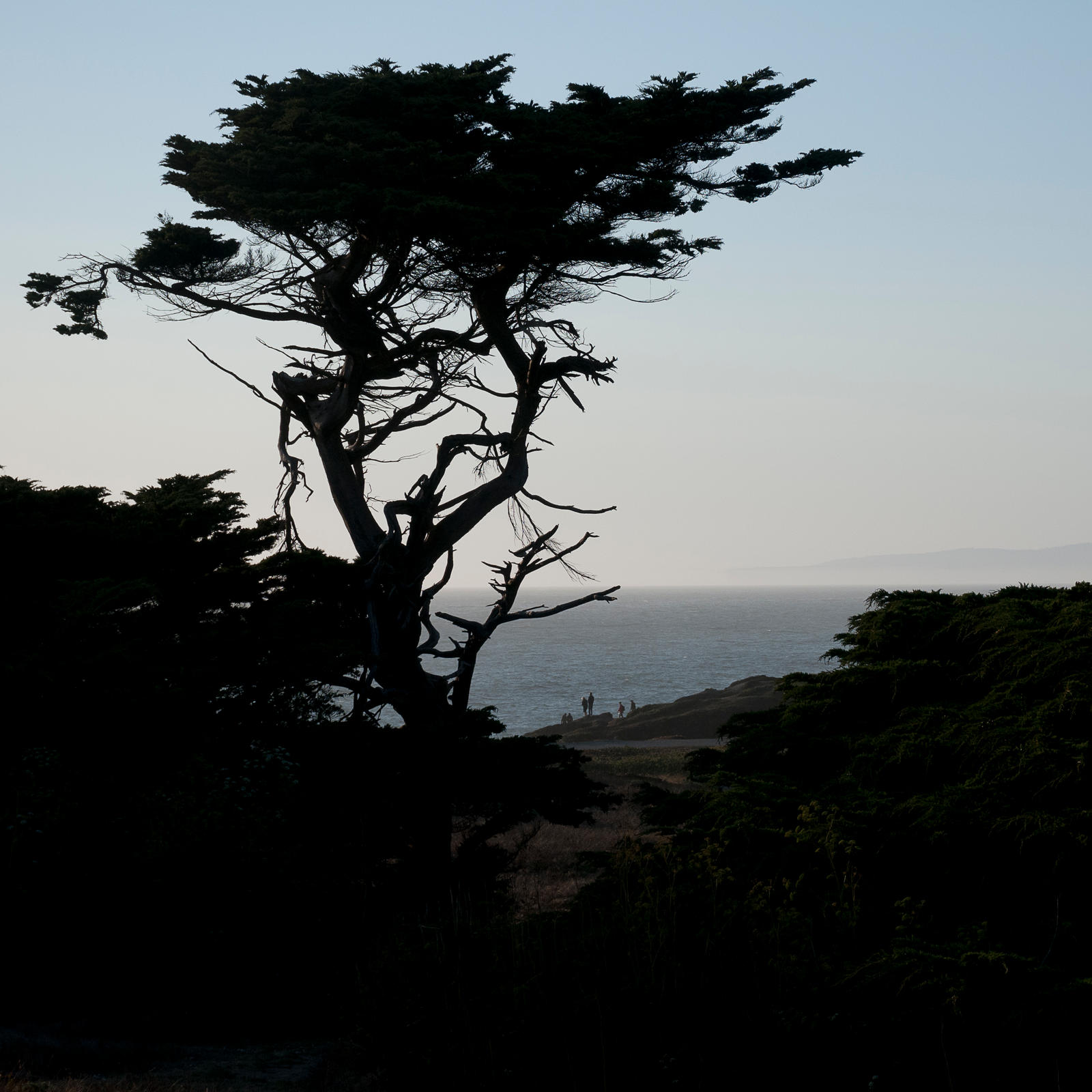 Awaiting the Windy Sunset by 1