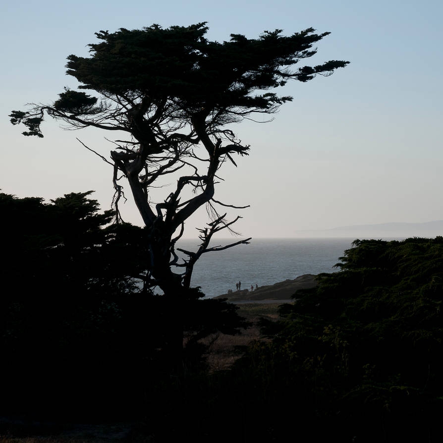 Awaiting the Windy Sunset by 1 Awaiting the Windy Sunset by 1