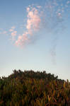 Untitled by 1