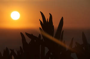 Untitled by 1 Untitled by 1