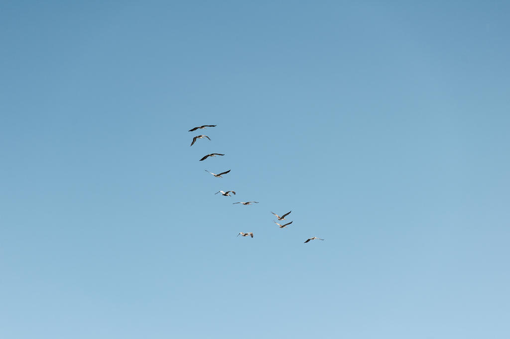 Untitled by 1 Untitled by 1
