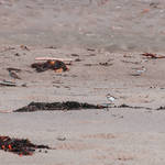 Untitled by 1