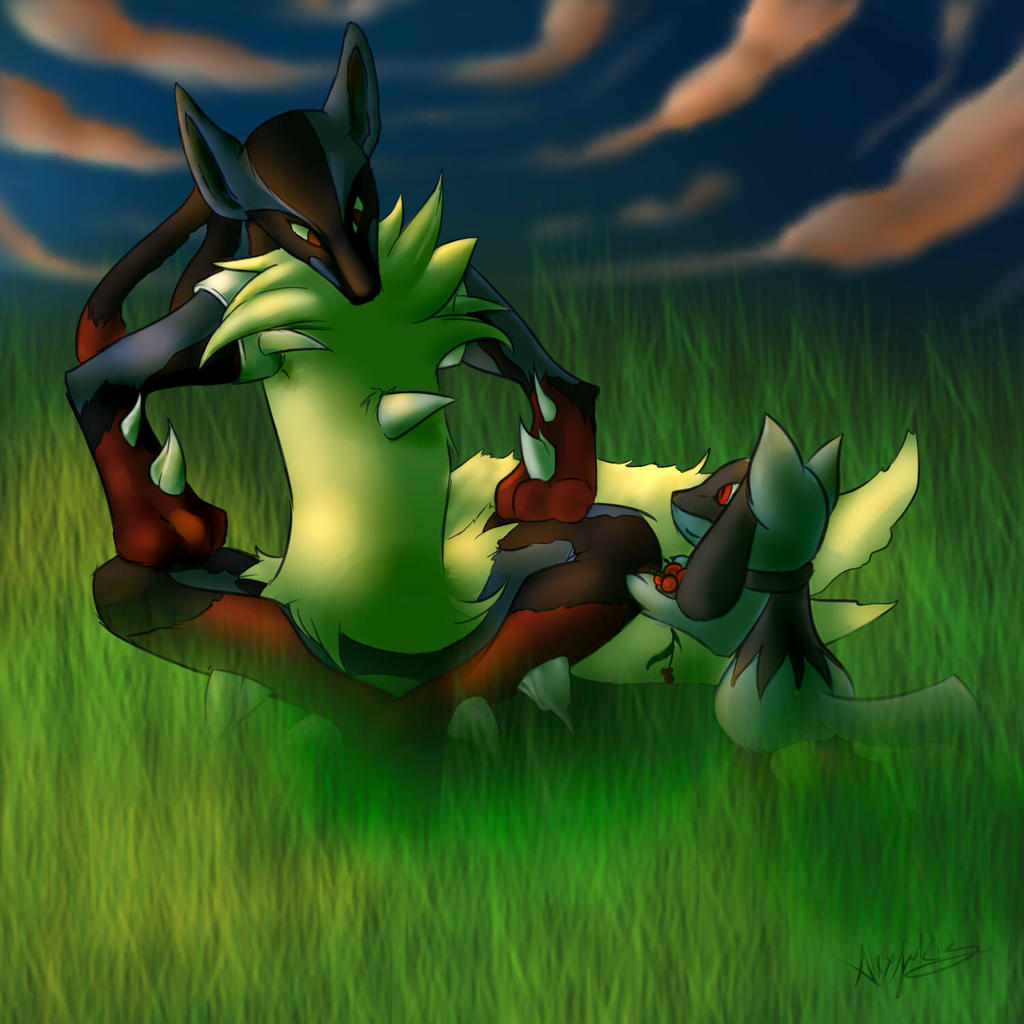 Mega Rioulou Mega Lucario and Riolu by FlightlessArchangel on DeviantArt