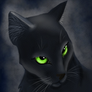 Hollyleaf