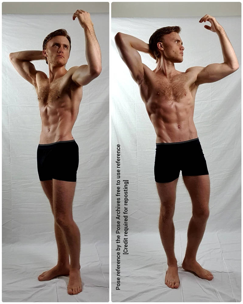 Male Anatomy Standing Arms Up Reference by theposearchives on DeviantArt