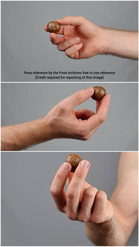 Male Hand Holding Ball Reference by theposearchives on DeviantArt