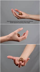 Female Hand Holding Ball Reference