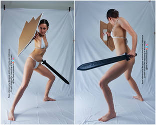 Female Sword and Shield Defensive Pose