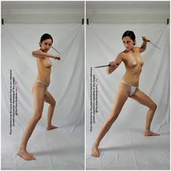 Female Dual Dagger Fighting Stance Pose