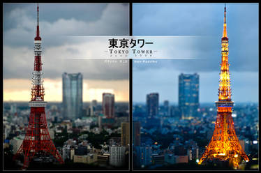 Twilight at Tokyo Tower