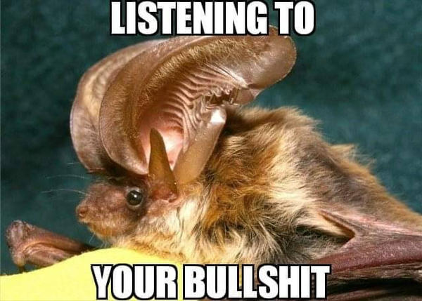 Bat meme (9) by MissMonsterBear on DeviantArt