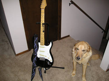 Buster and meh Fender Guitar