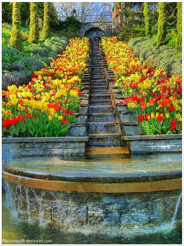 Mainau HDR I