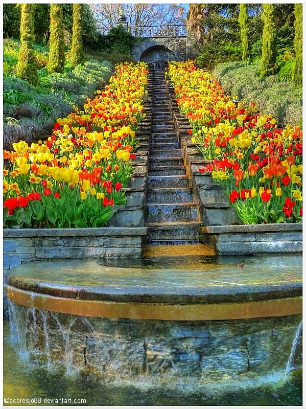 Mainau HDR I