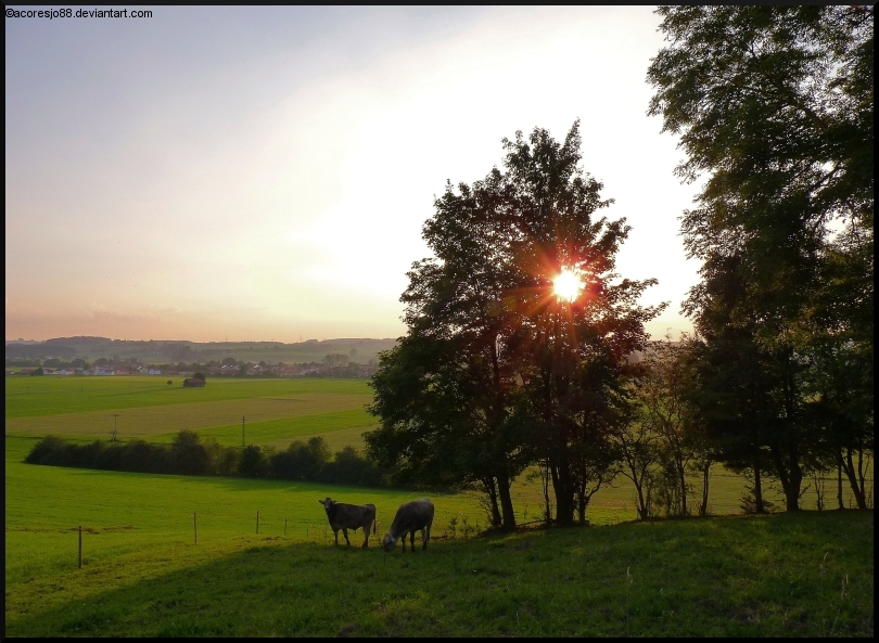 peaceful Allgaeu