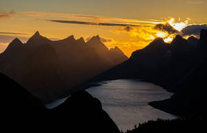 Lofoten needles