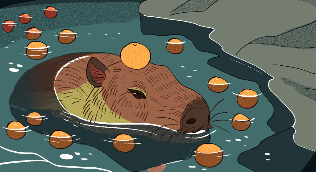 Гонки на капибарах настольная игра. Капибара с апельсином. Capybara с апельсином на голове.