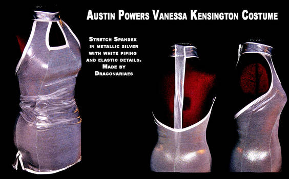 Silver dress costume