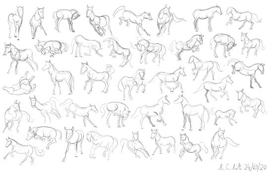 Horse Gesture Drawings, 60 seconds each!