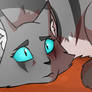 Ivypool