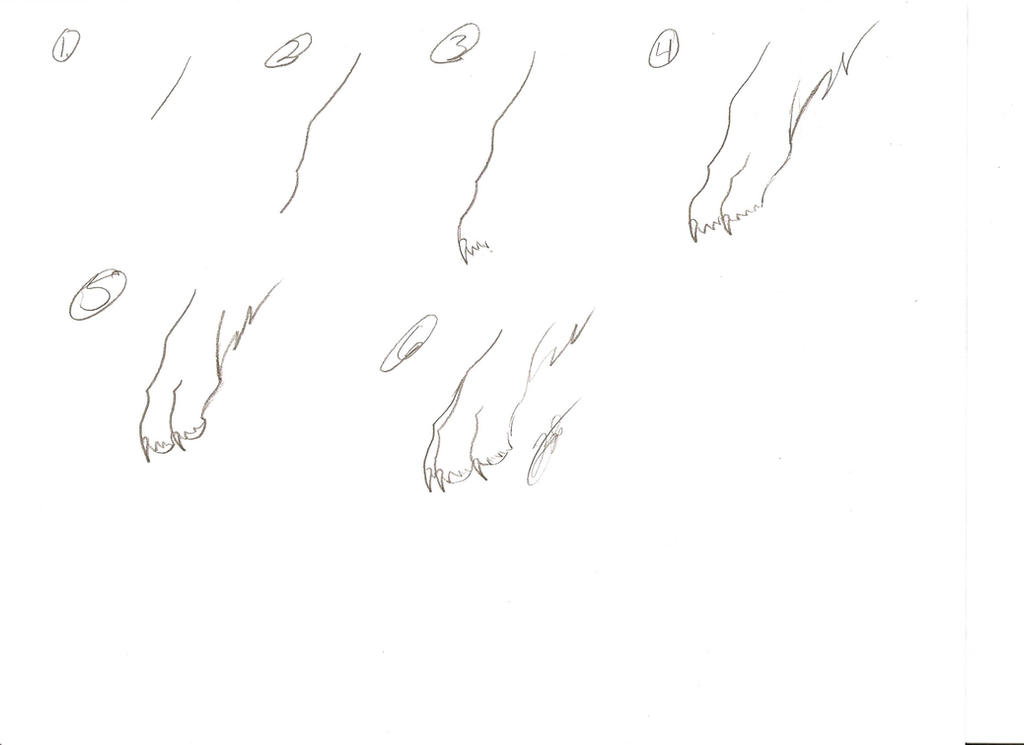 Paw Art Example paw tutorial by starrynighthowl9 on DeviantArt