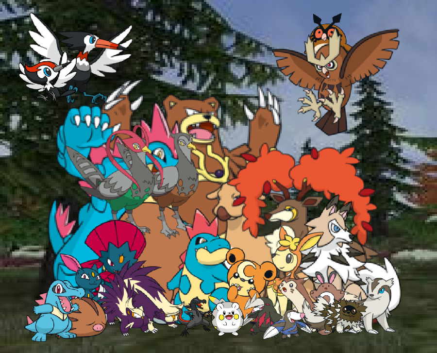 Pokemon Woodland