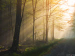 Path to Eventual v2.0 by reznor666