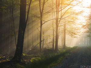 Path to Eventual v2.0 by reznor666 Path to Eventual v2.0 by reznor666