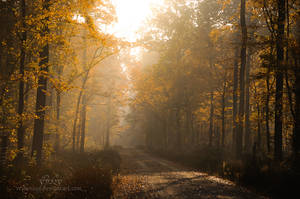 Misty Road by reznor666