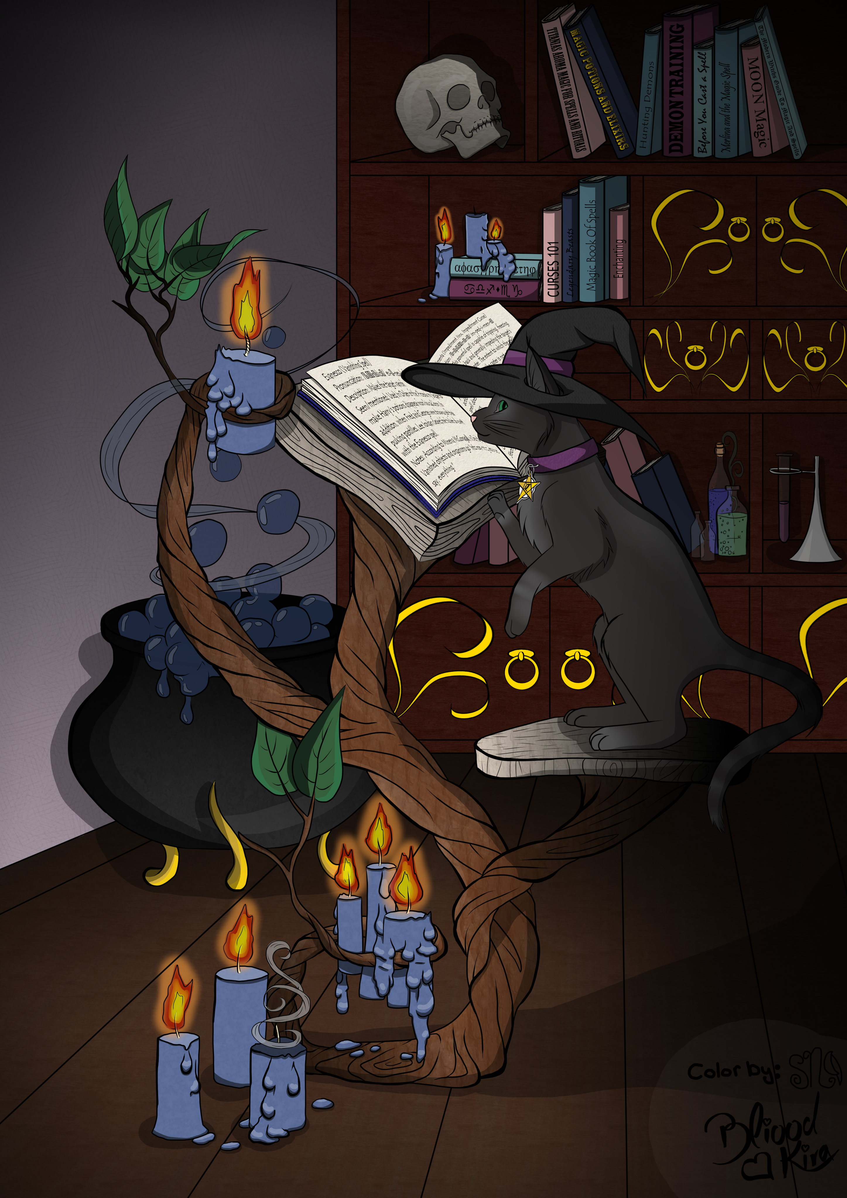 The Witch's Cat and the Magic Book