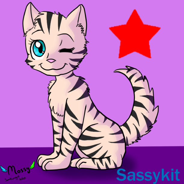 :AFO: Sassykit