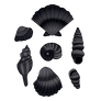 Black Seashells
