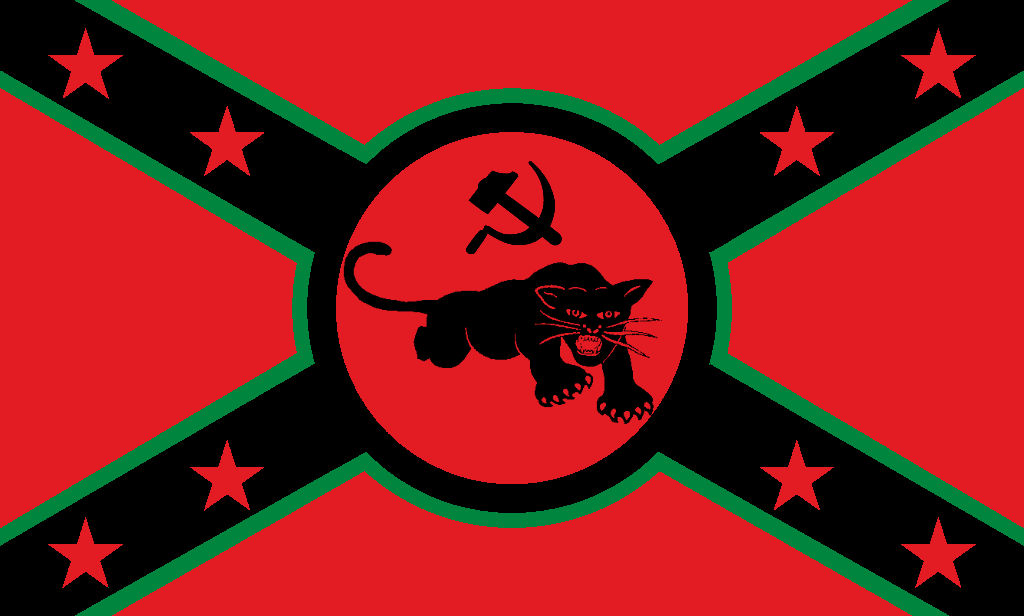 Black Panther Party Flag Dixie Style by Neobolshevik on DeviantArt