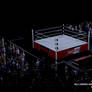 3D Wrestling Arena Part 2 (Wide Shot)