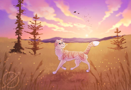Pink Skies | Completed YCH