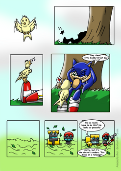 Sonic and the BirdStone chap1 P01