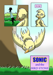 Sonic and the BirdStone chap1 P03