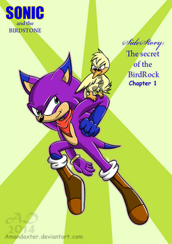 SATBS The secret of the BirdRock cover 1