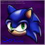 Sonic -collab-