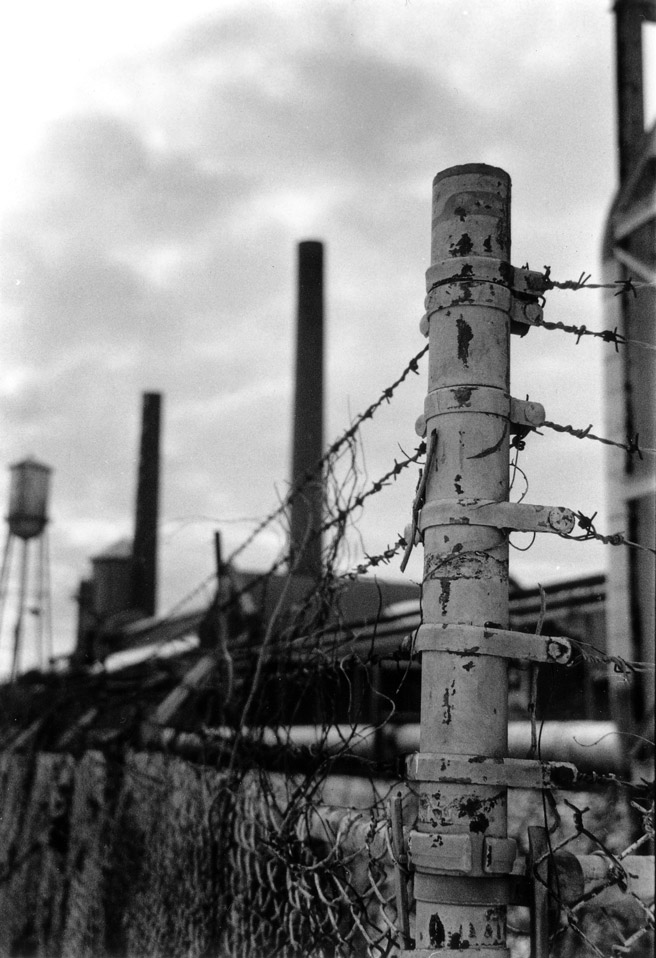 Barbed Wire