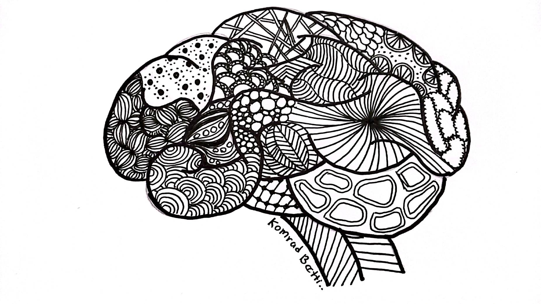 Zentangle Brain By Komradbetti On DeviantArt