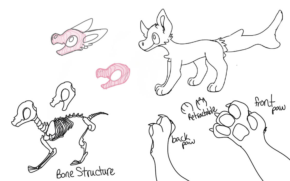 Basic Anatomy of a Pathogon by ImperialHound on DeviantArt
