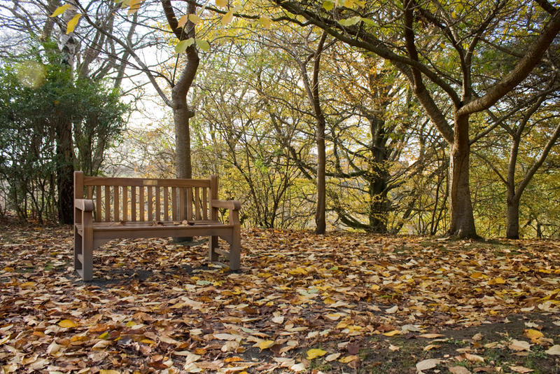 Fall Sessions Bench Autumn - bench 001 by akio-stock on DeviantArt