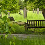 Graveyard_2014-06_0015